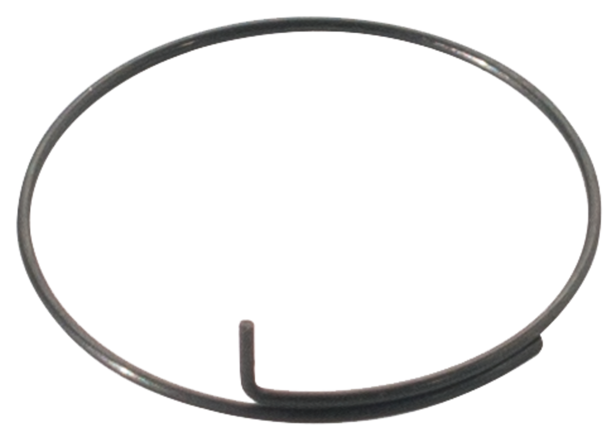 Bontrager DT Swiss Onyx Pawl Spring